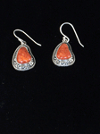 Coral Earrings